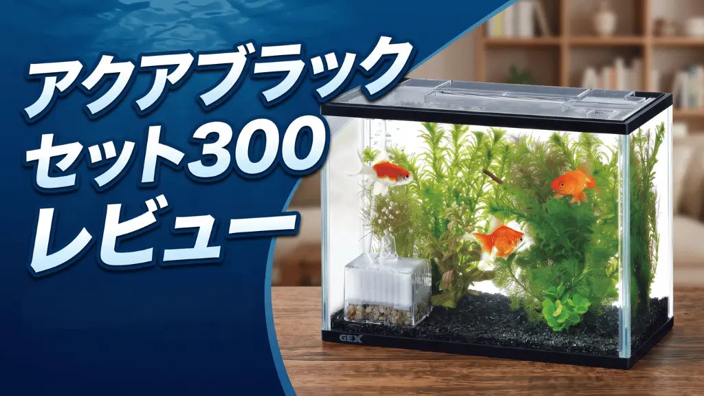 アクアブラックセット300レビュー！メリットとデメリットを解説