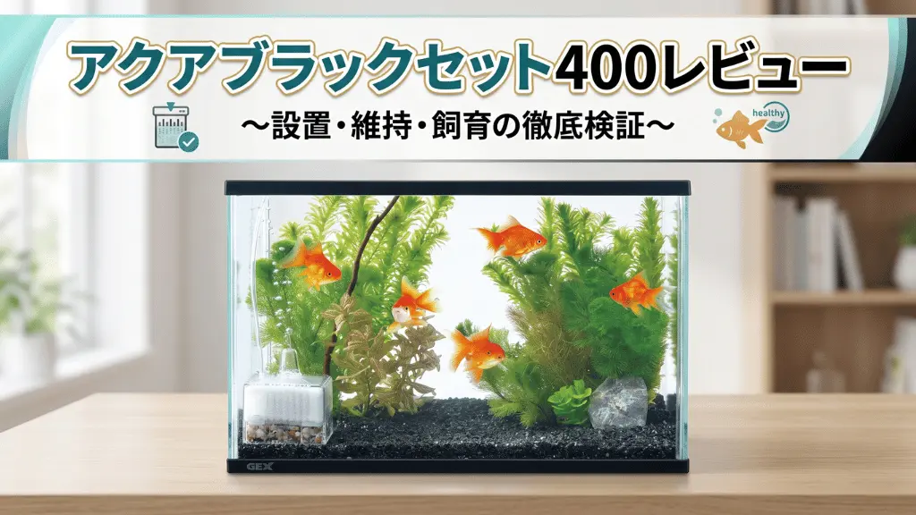 アクアブラックセット400レビュー!メリットとデメリットを解説