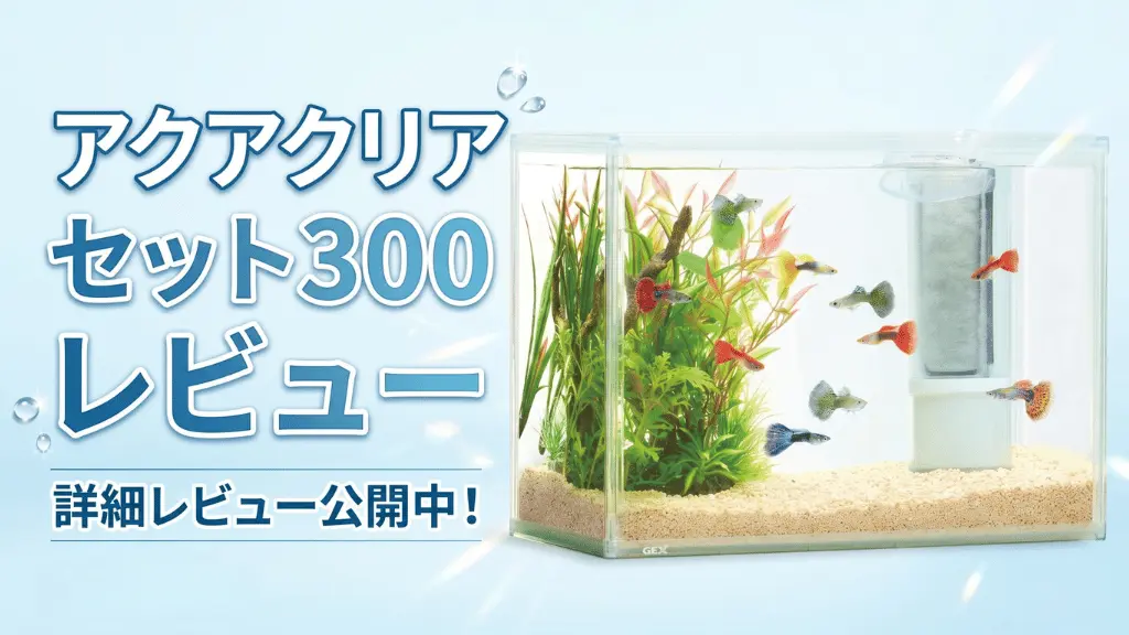 アクアクリアセット300レビュー！メリットとデメリットを解説