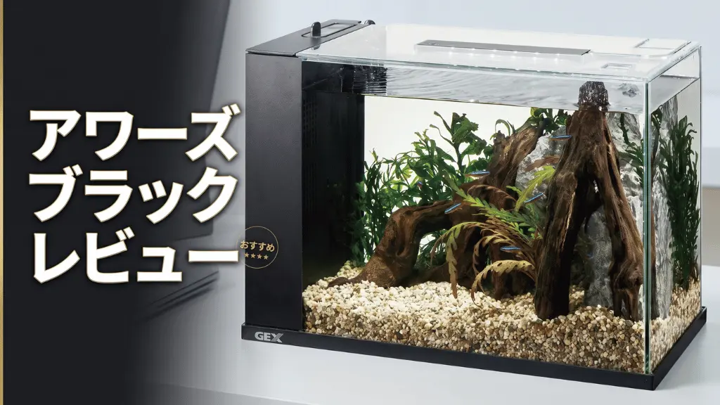 アワーズブラックレビュー!メリットとデメリットを解説