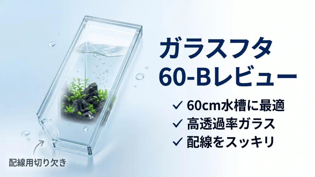 ガラスフタ60-Bレビュー！メリットとデメリットを解説