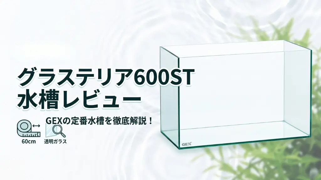 グラステリア600ST水槽レビュー！メリットとデメリットを解説
