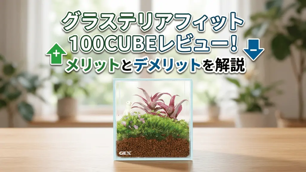 グラステリアフィット100CUBEレビュー！メリットとデメリットを解説
