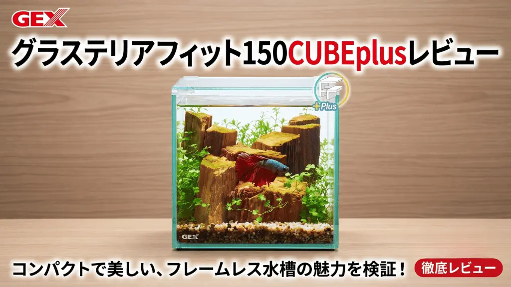 グラステリアフィット150CUBEplusレビュー！メリットとデメリットを解説