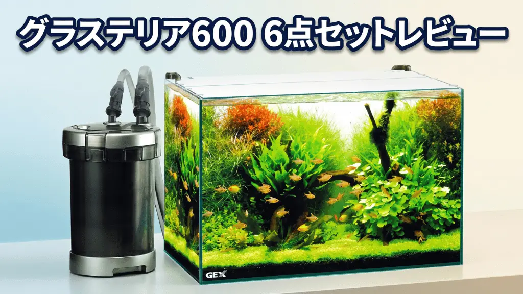 グラステリア6006点セットレビュー！メリットとデメリットを解説