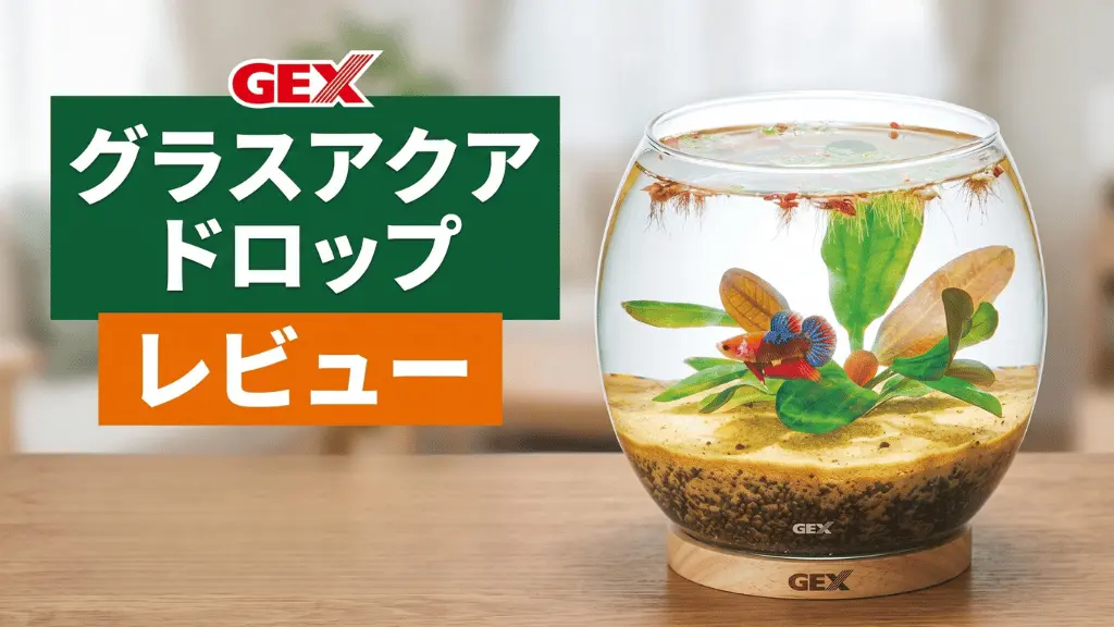 グラスアクアドロップレビュー！メリットとデメリットを解説