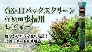 GX-11バックスクリーン60cm水槽用レビュー！メリットとデメリットを解説