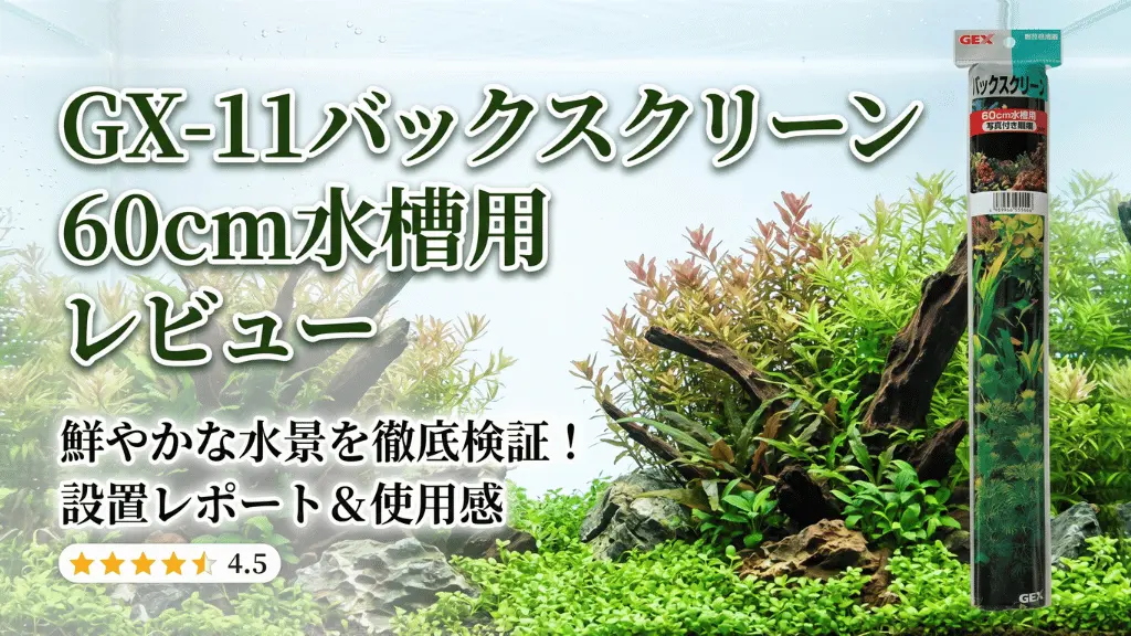 GX-11バックスクリーン60cm水槽用レビュー！メリットとデメリットを解説