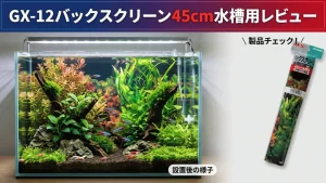 GX-12バックスクリーン45cm水槽用レビュー！メリットとデメリットを解説