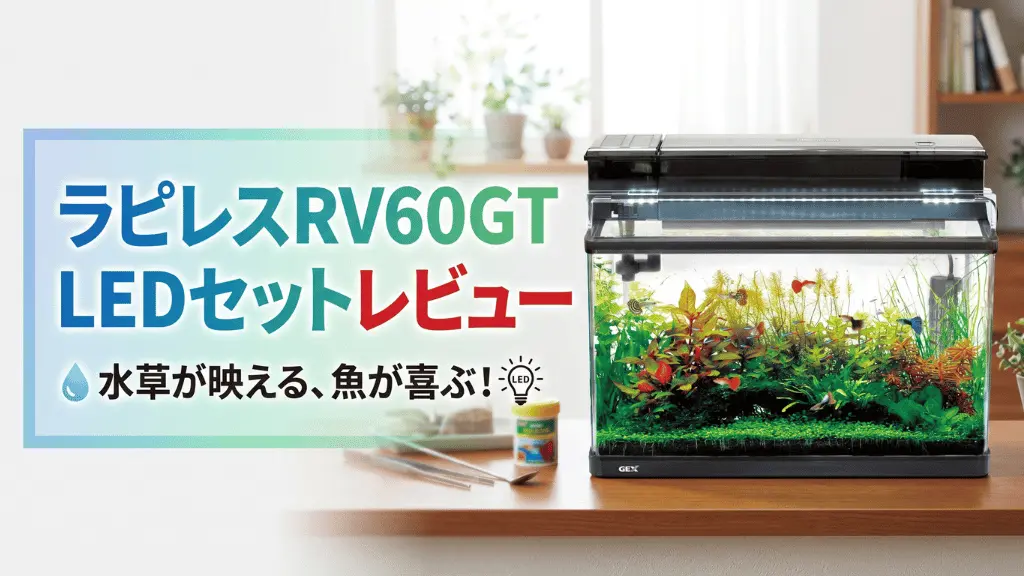 ラピレスRV60GTLEDセットレビュー！メリットとデメリットを解説