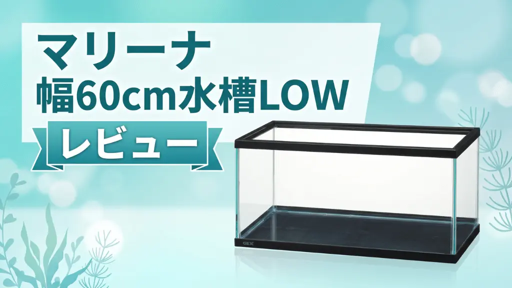 マリーナ幅60cm水槽LOWレビュー！メリットとデメリットを解説