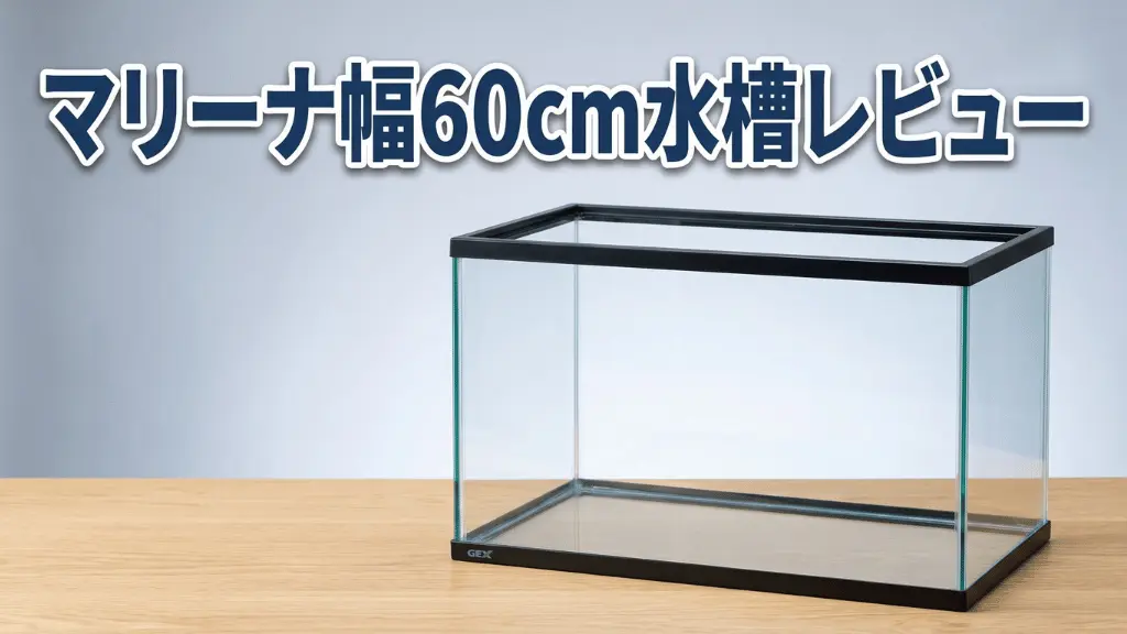マリーナ幅60cm水槽レビュー！メリットとデメリットを解説