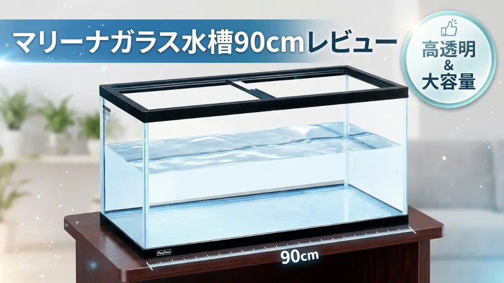 マリーナガラス水槽90cmレビュー！メリットとデメリットを解説