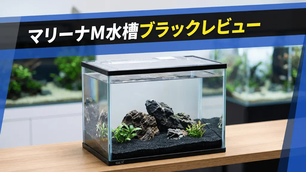 マリーナM水槽ブラックレビュー！メリットとデメリットを解説