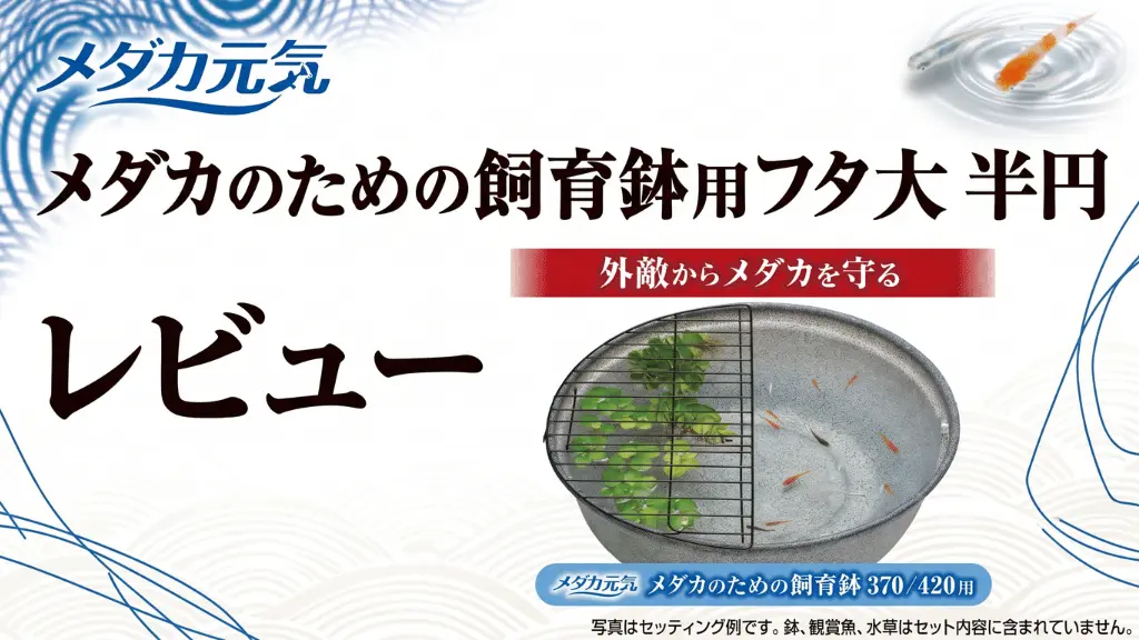 メダカ元気メダカのための飼育鉢用フタ大半円レビュー！メリットとデメリットを解説
