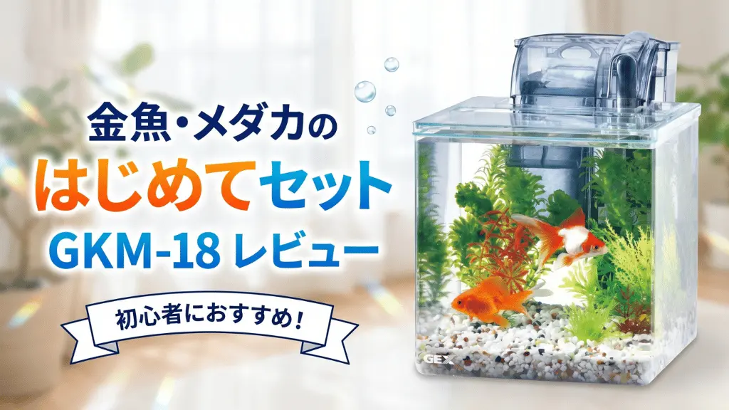 金魚・メダカのはじめてセットGKM-18レビュー！メリットとデメリットを解説