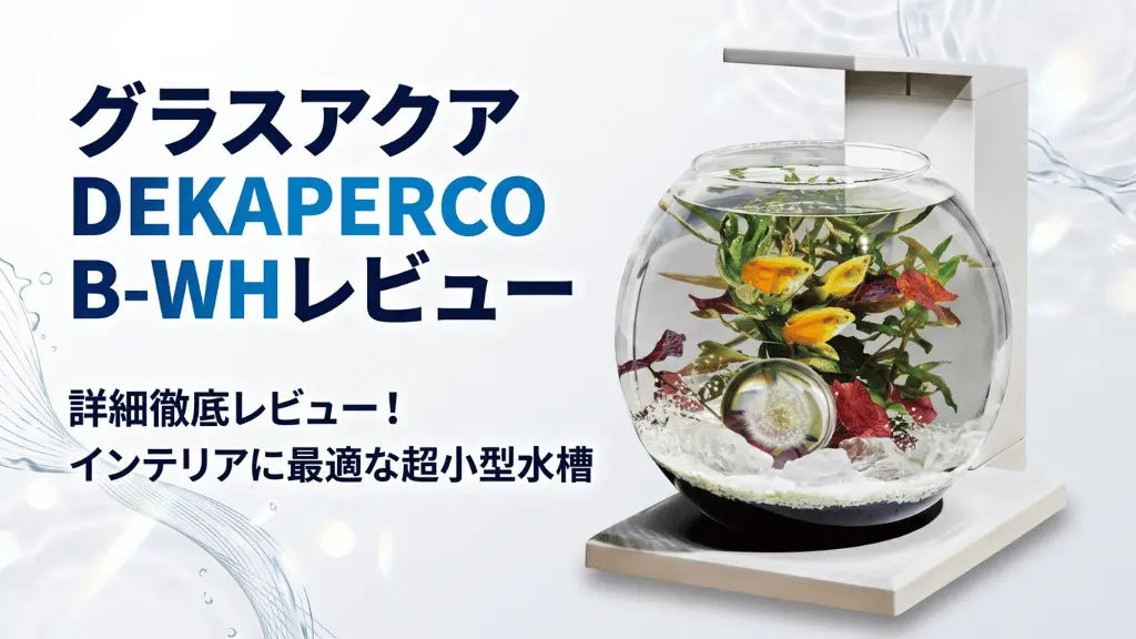 グラスアクアDEKAPERCODB-WHレビュー！メリットとデメリットを解説