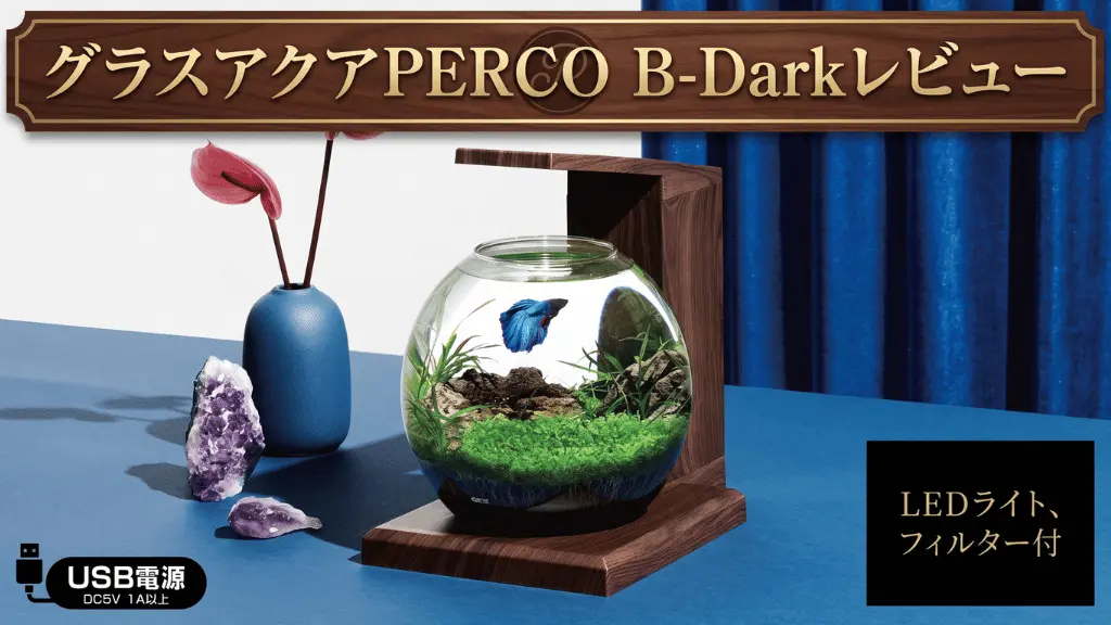 グラスアクアPERCOB-Darkレビュー！メリットとデメリットを解説