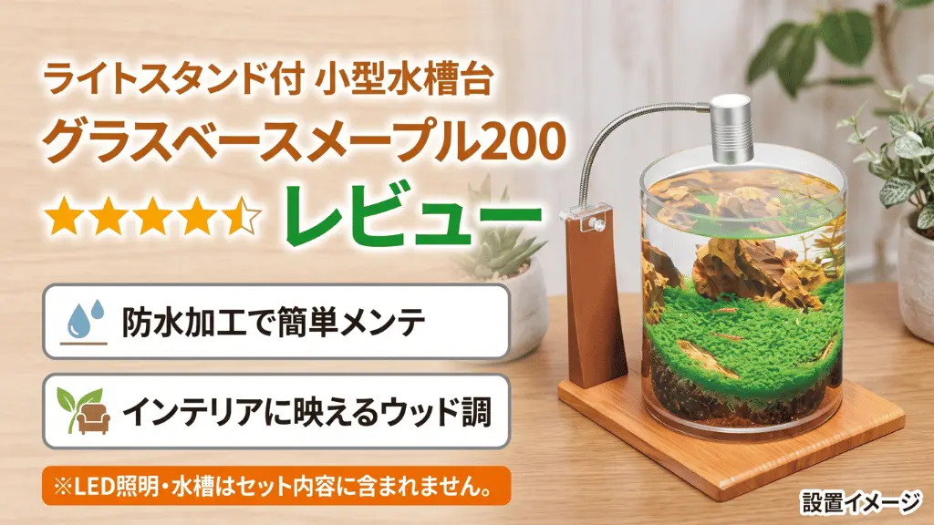 グラスベースメープル200レビュー！メリットとデメリットを解説