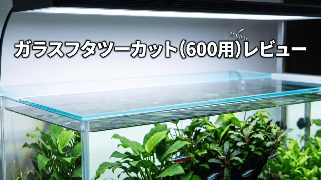 ガラスフタツーカット（600用）レビュー！メリットとデメリットを解説