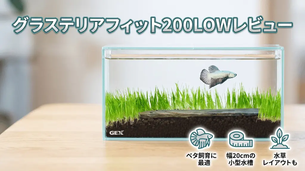 グラステリアフィット200LOWレビュー！メリットとデメリットを解説