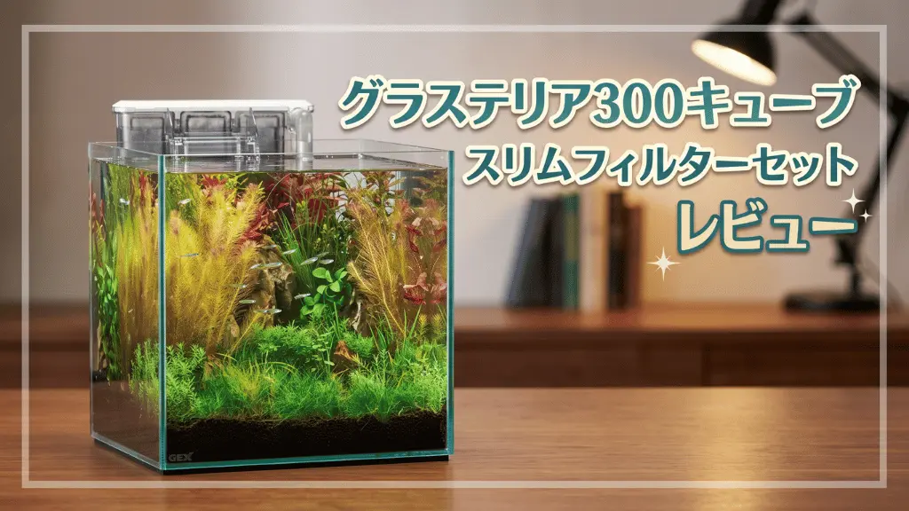グラステリア300キューブスリムフィルターセットレビュー！メリットとデメリットを解説