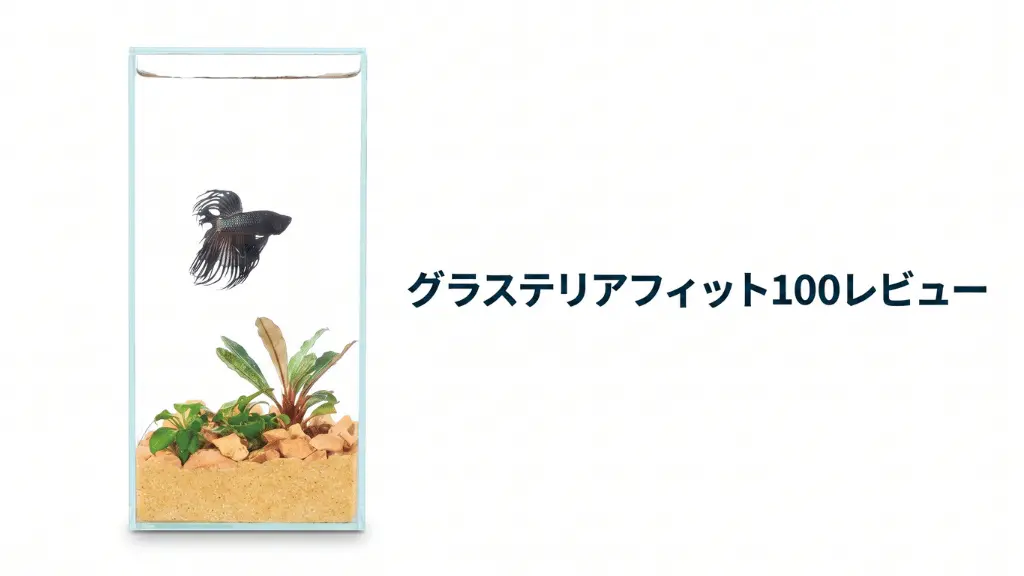 グラステリアフィット100レビュー！メリットとデメリットを解説