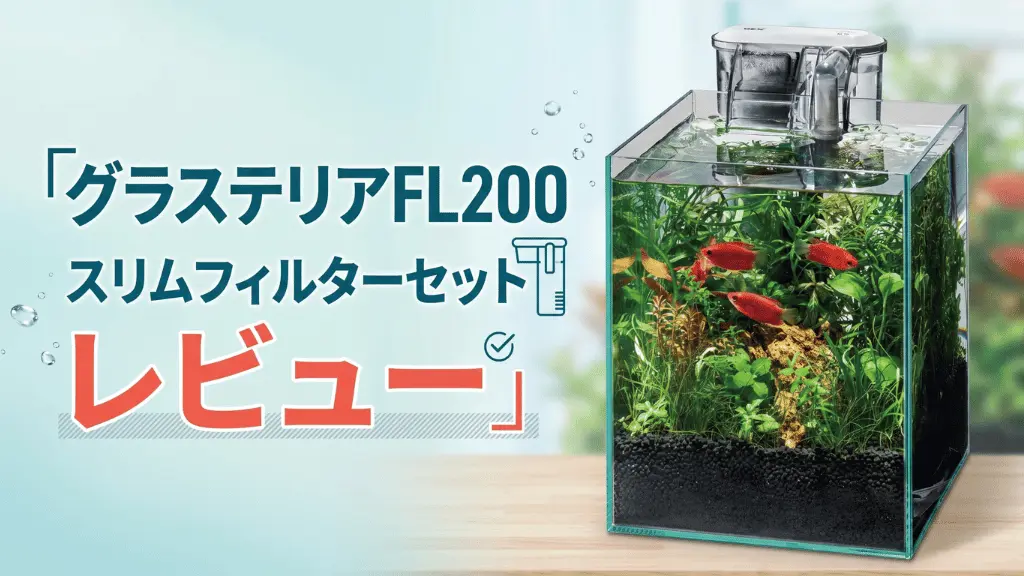 グラステリアFL200スリムフィルターセットレビュー！メリットとデメリットを解説