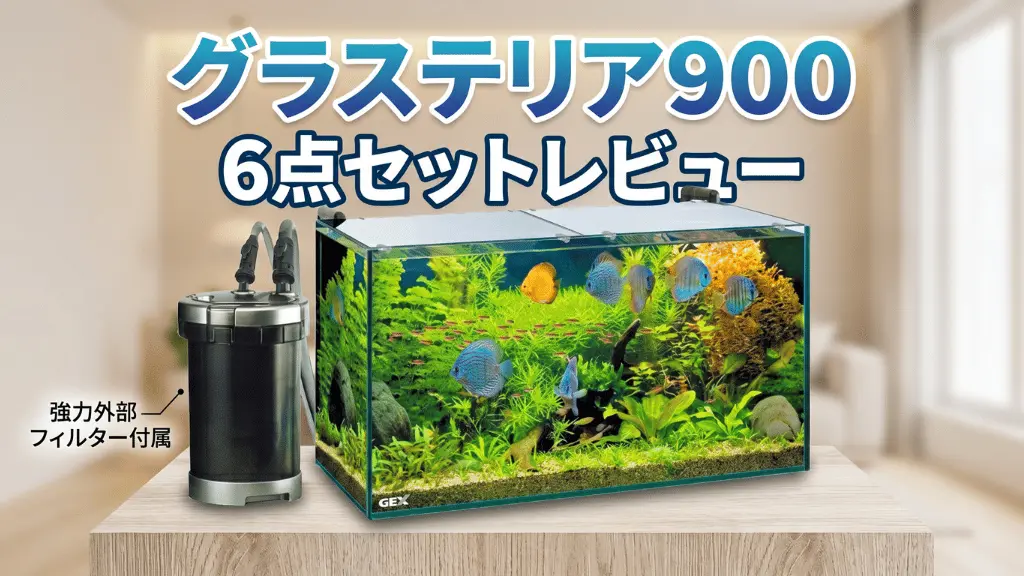 グラステリア9006点セットレビュー！メリットとデメリットを解説