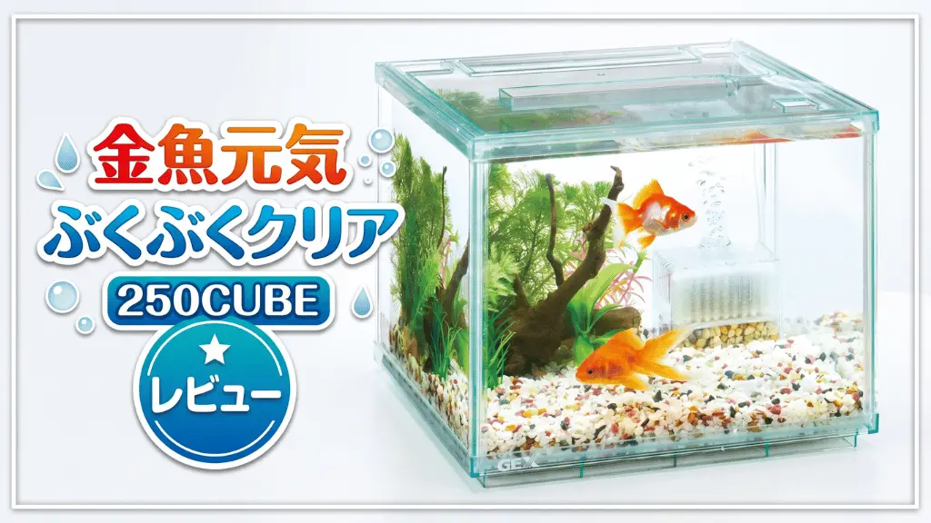金魚元気ぶくぶくクリア250CUBEレビュー！メリットとデメリットを解説