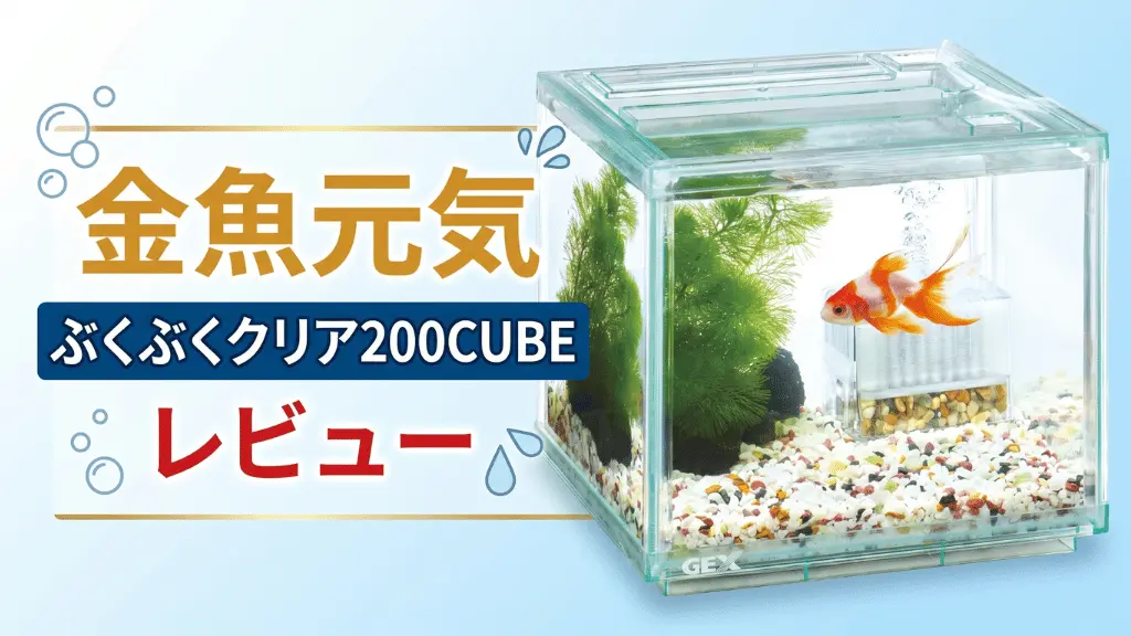 金魚元気ぶくぶくクリア200CUBEレビュー！メリットとデメリットを解説
