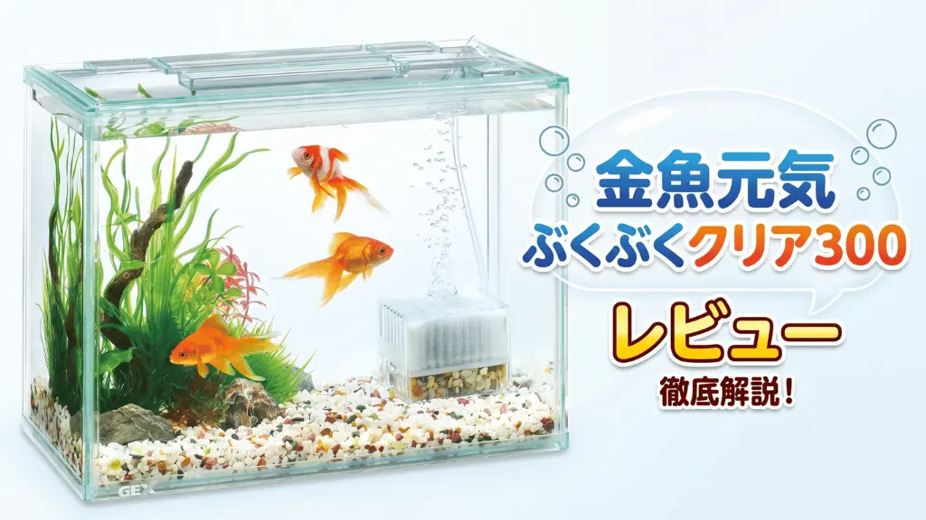 金魚元気ぶくぶくクリア300レビュー！メリットとデメリットを解説