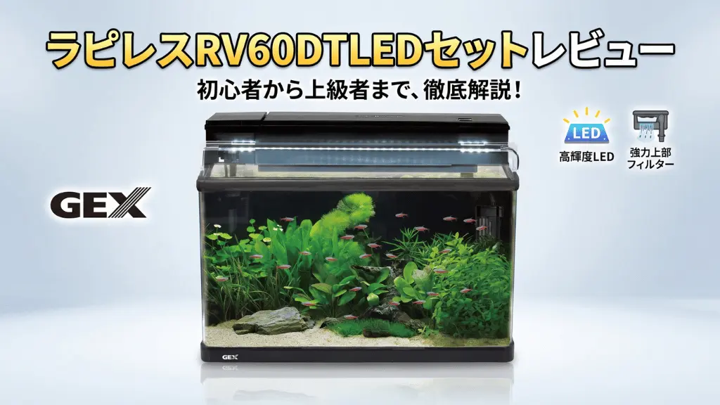 ラピレスRV60DTLEDセットレビュー！メリットとデメリットを解説