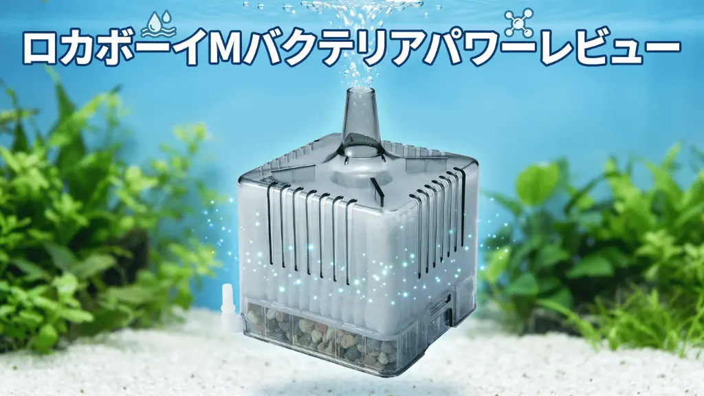 ロカボーイMバクテリアパワーレビュー！メリットとデメリットを解説
