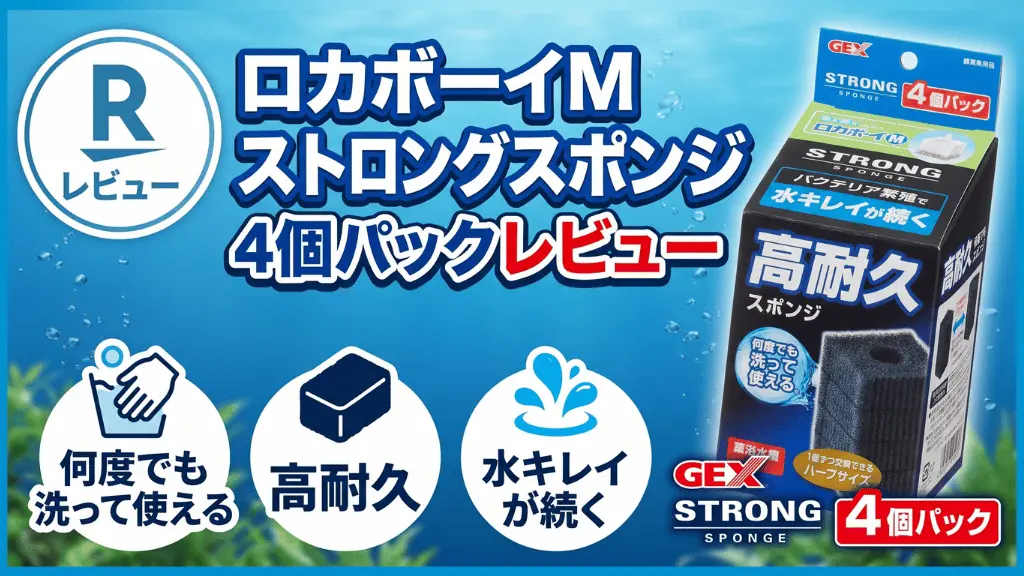 ロカボーイMストロングスポンジ4個パックレビュー！メリットとデメリットを解説