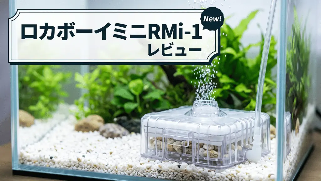 ロカボーイミニRMi-1レビュー！メリットとデメリットを解説