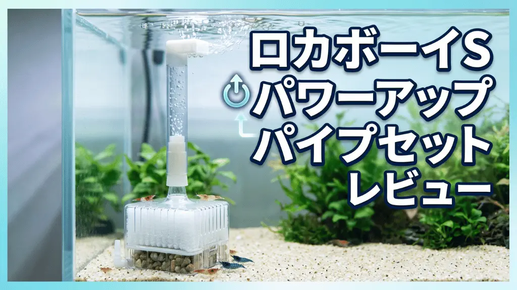 ロカボーイSパワーアップパイプセットレビュー！メリットとデメリットを解説