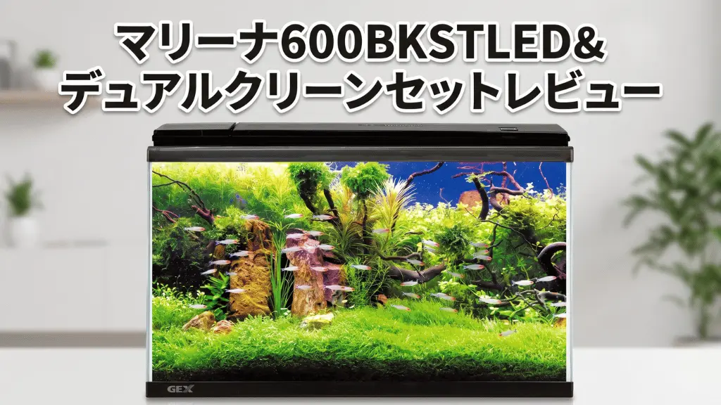 マリーナ600BKSTLED&デュアルクリーンセットレビュー！メリットとデメリットを解説