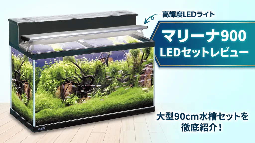 マリーナ900LEDセットレビュー！メリットとデメリットを解説