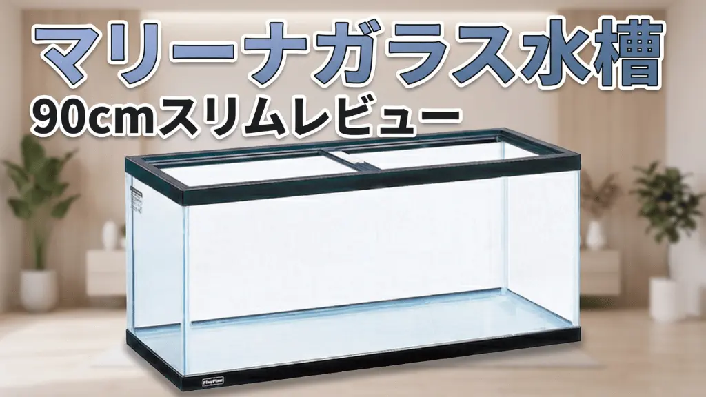 マリーナガラス水槽90cmスリムレビュー!メリットとデメリットを解説