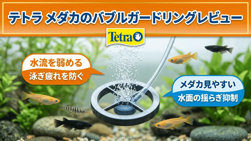 テトラメダカのバブルガードリングレビュー！メリットとデメリットを解説