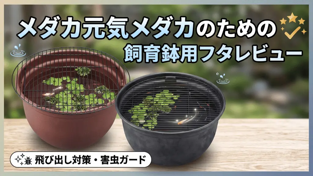 メダカ元気メダカのための飼育鉢用フタレビュー！メリットとデメリットを解説