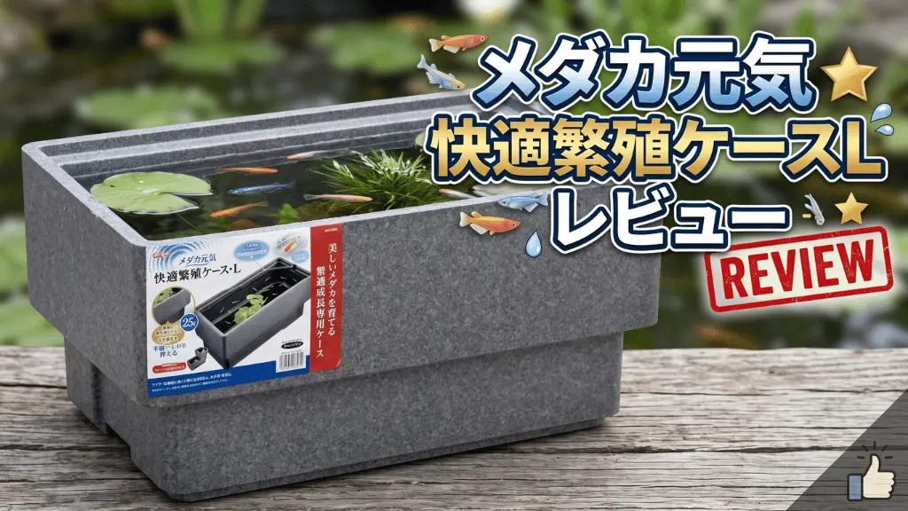 メダカ元気快適繁殖ケースLレビュー！メリットとデメリットを解説