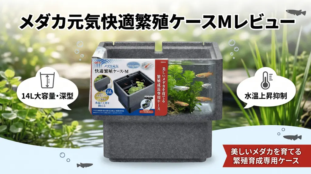 メダカ元気快適繁殖ケースMレビュー！メリットとデメリットを解説