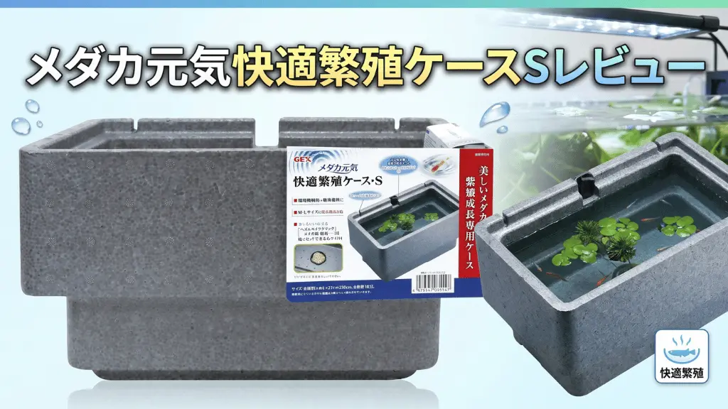 メダカ元気快適繁殖ケースSレビュー！メリットとデメリットを解説