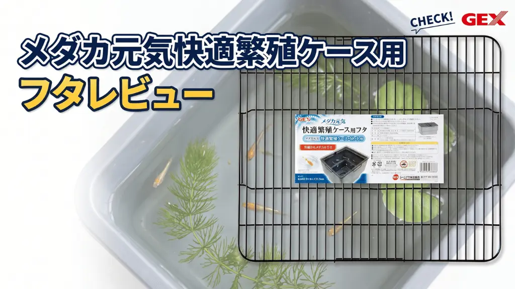 メダカ元気快適繁殖ケース用フタレビュー！メリットとデメリットを解説