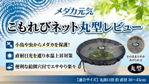 メダカ元気こもれびネット丸型レビュー！メリットとデメリットを解説