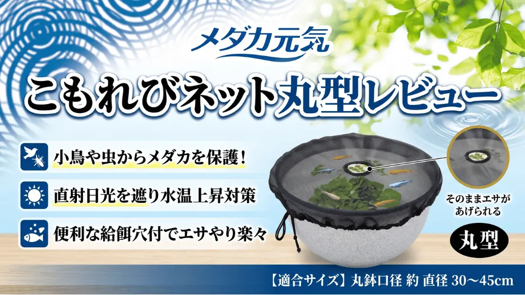 メダカ元気こもれびネット丸型レビュー！メリットとデメリットを解説