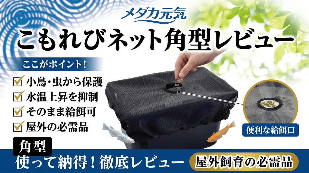 メダカ元気こもれびネット角型レビュー！メリットとデメリットを解説