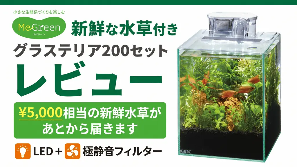 MeGreen新鮮な水草付きグラステリア200セットレビュー!メリットとデメリットを解説